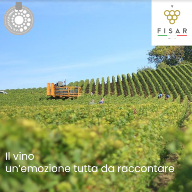 Corso Sommelier secondo livello ONLINE - mercoledì – 19/10/2022 - immagine 2