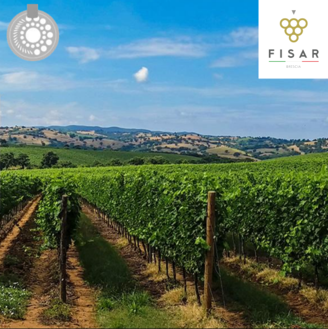 Corso Sommelier secondo livello presso Hilton DoubleTree Brescia - mercoledì – 19/10/2022 - immagine 3