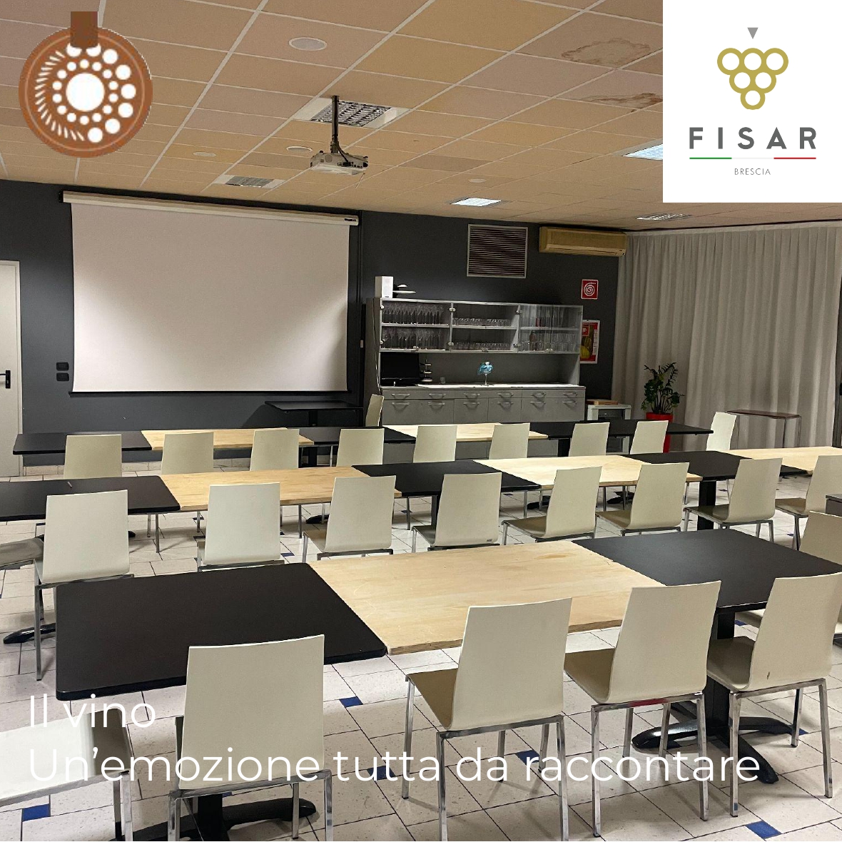 Corso Sommelier primo livello presso Istituto A. Mantegna mercoledì – 12/02/2025 - immagine 7