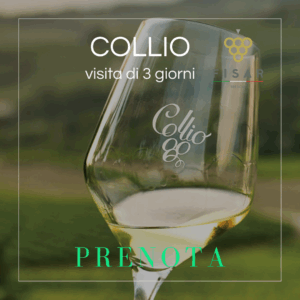 Friuli: i vini bianchi del Collio - 12-14 settembre 2025